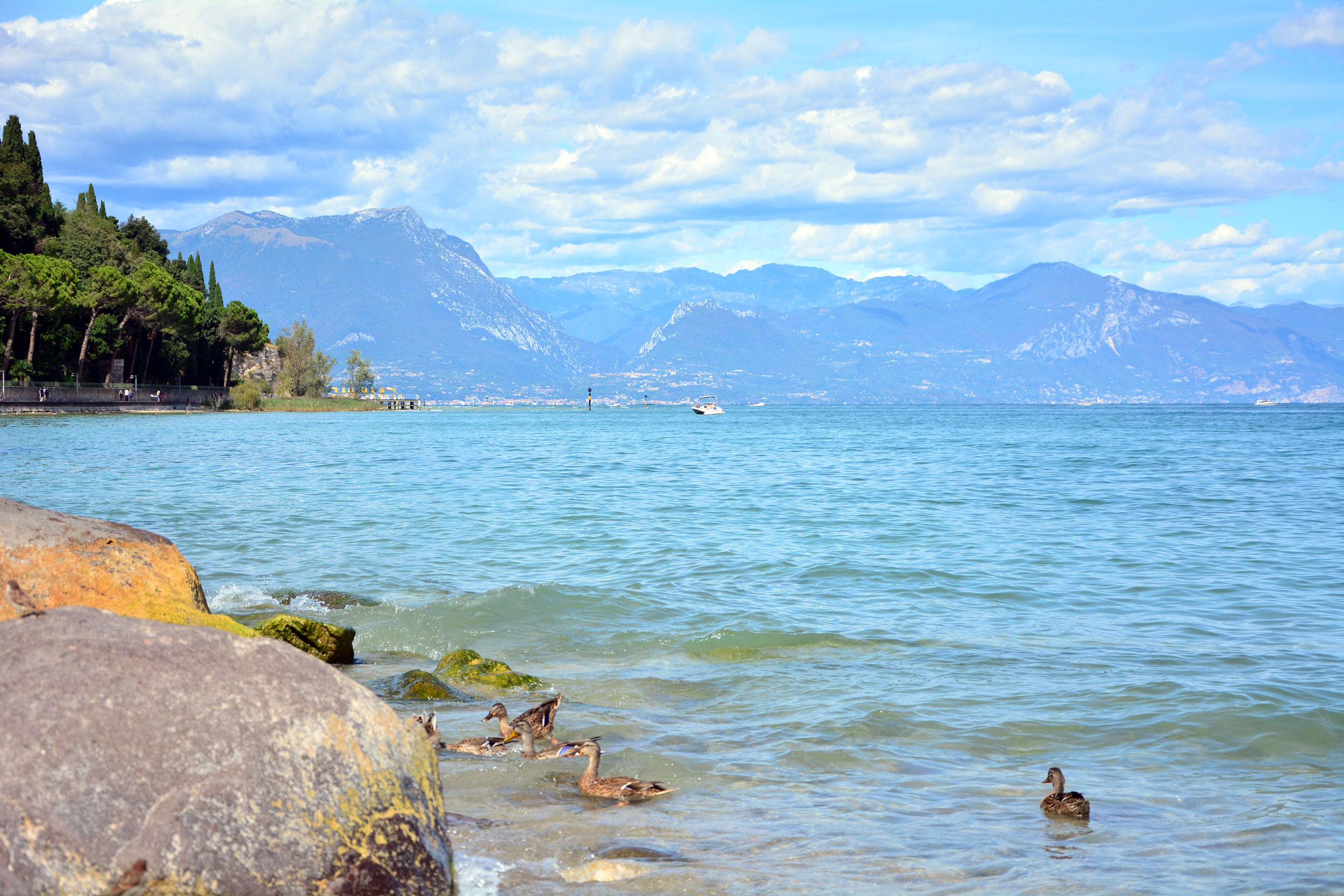 farmacia-cavalcaselle-apoteke-farmacy-Ponti-Monzanbano-Sirmione-Pacengo-Lazise-Salionze-Valeggio-Castelnuovo-del-Garda-Peschiera-del-garda